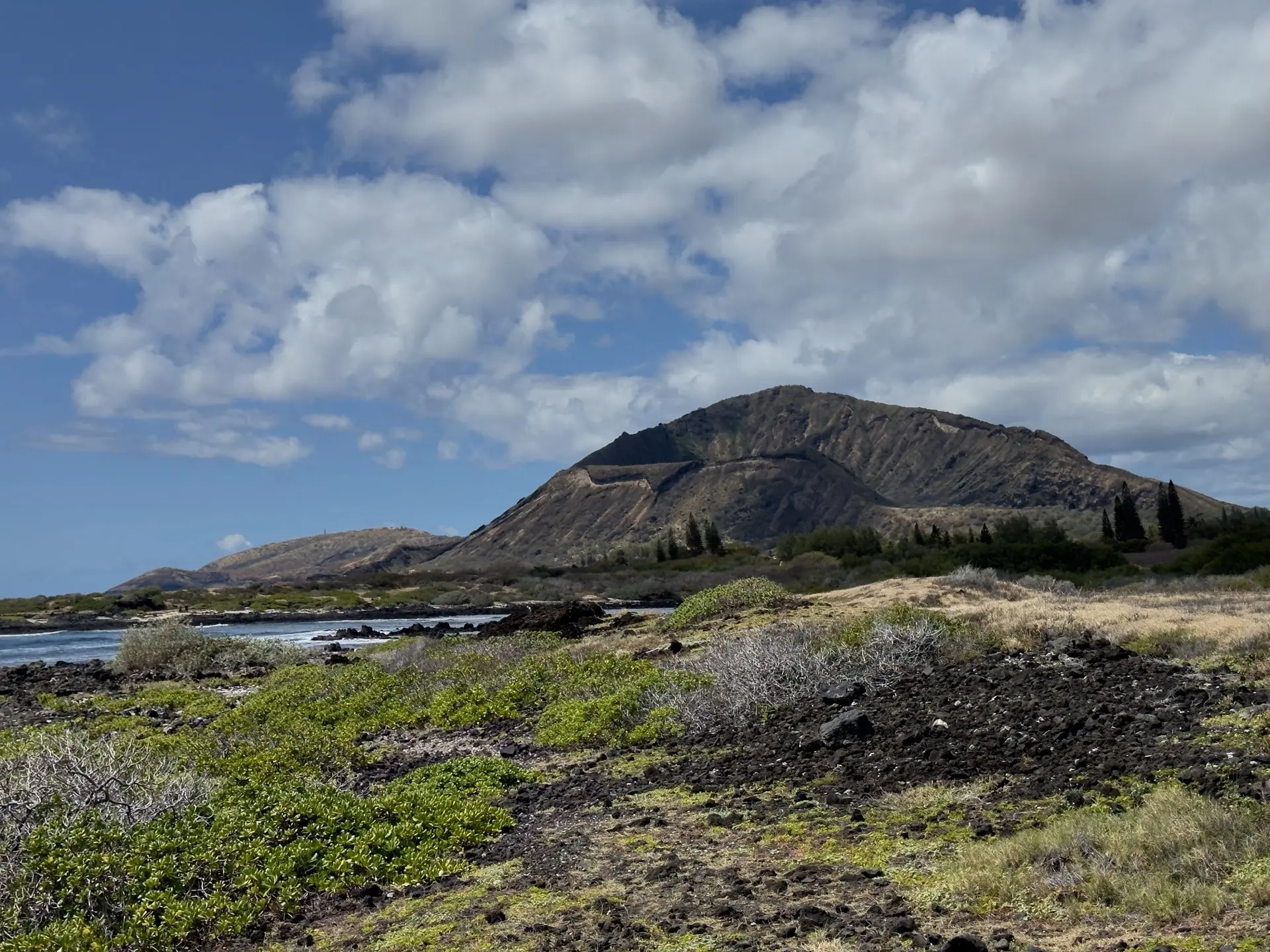 Honolulu, HI, December 12, 2024