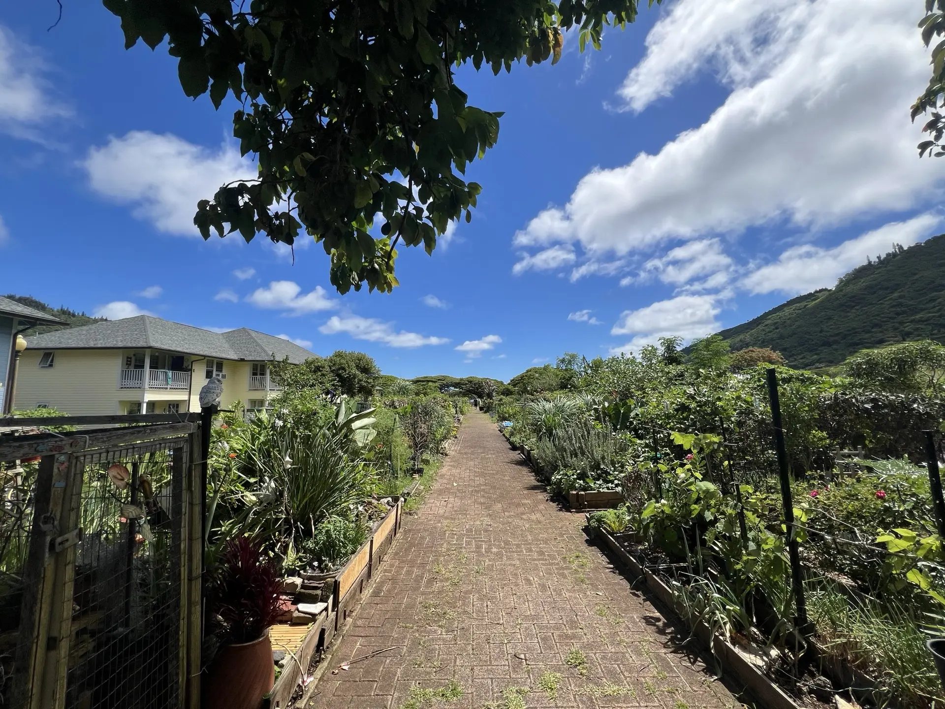 Honolulu, HI, December 12, 2024